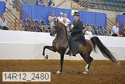 14r12_2480 proof