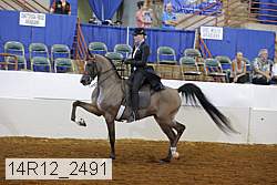 14r12_2491 proof