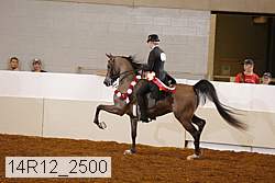 14r12_2500 proof