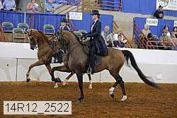 14r12_2522 proof