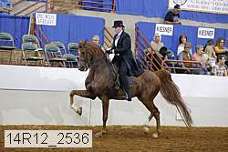 14r12_2536 proof
