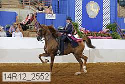 14r12_2552 proof