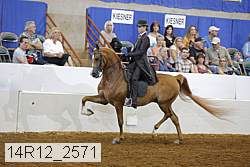 14r12_2571 proof