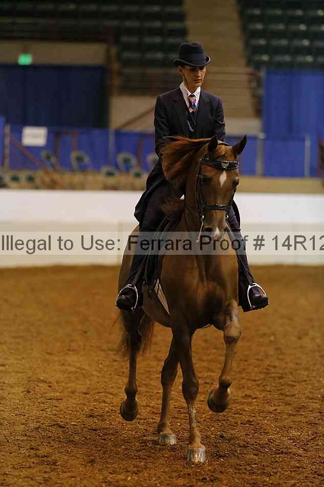 Proof 14r12_2575