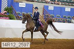 14r12_2597 proof