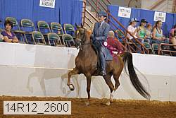 14r12_2600 proof