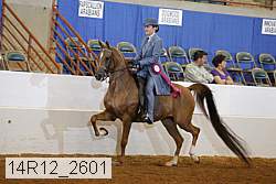 14r12_2601 proof