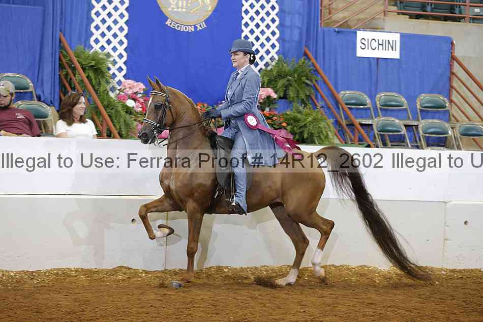 Proof 14r12_2602