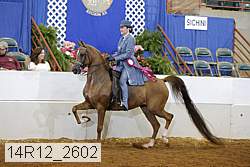 14r12_2602 proof