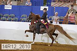 14r12_2610 proof