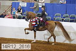 14r12_2616 proof