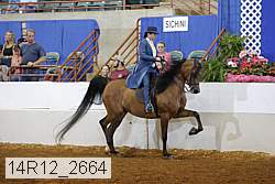 14r12_2664 proof