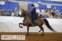 14r12_2707 proof