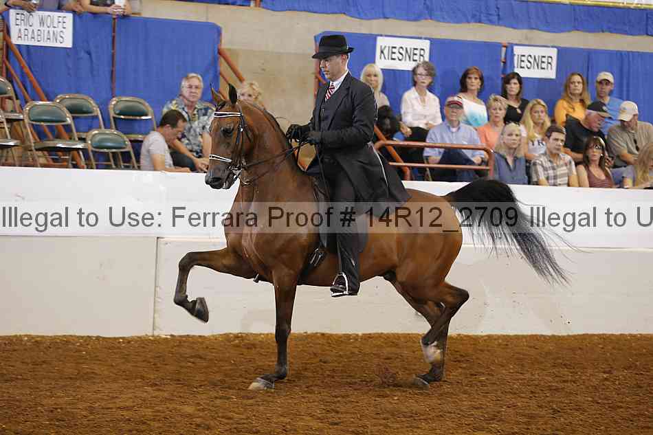 Proof 14r12_2709