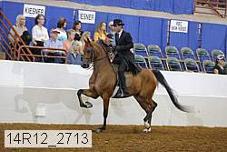 14r12_2713 proof