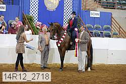 14r12_2718 proof