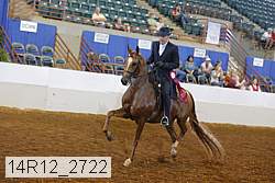 14r12_2722 proof
