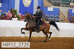 14r12_2725 proof