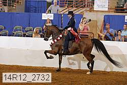 14r12_2732 proof