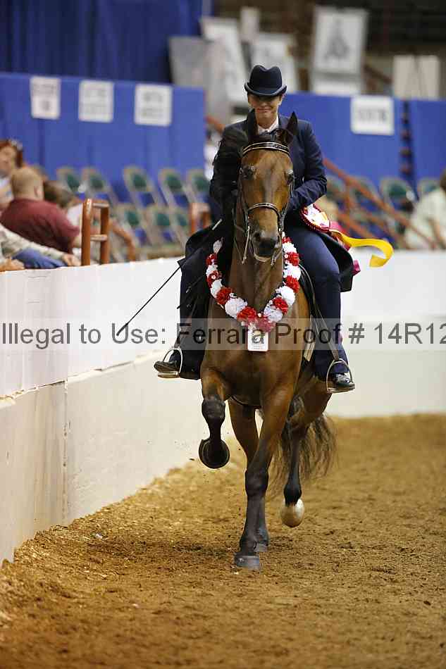 Proof 14r12_2733