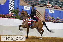 14r12_2734 proof