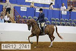 14r12_2741 proof