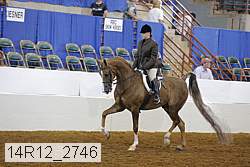 14r12_2746 proof
