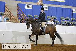 14r12_2772 proof