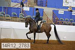 14r12_2783 proof