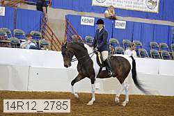 14r12_2785 proof