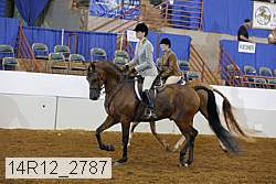 14r12_2787 proof