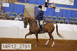 14r12_2791 proof