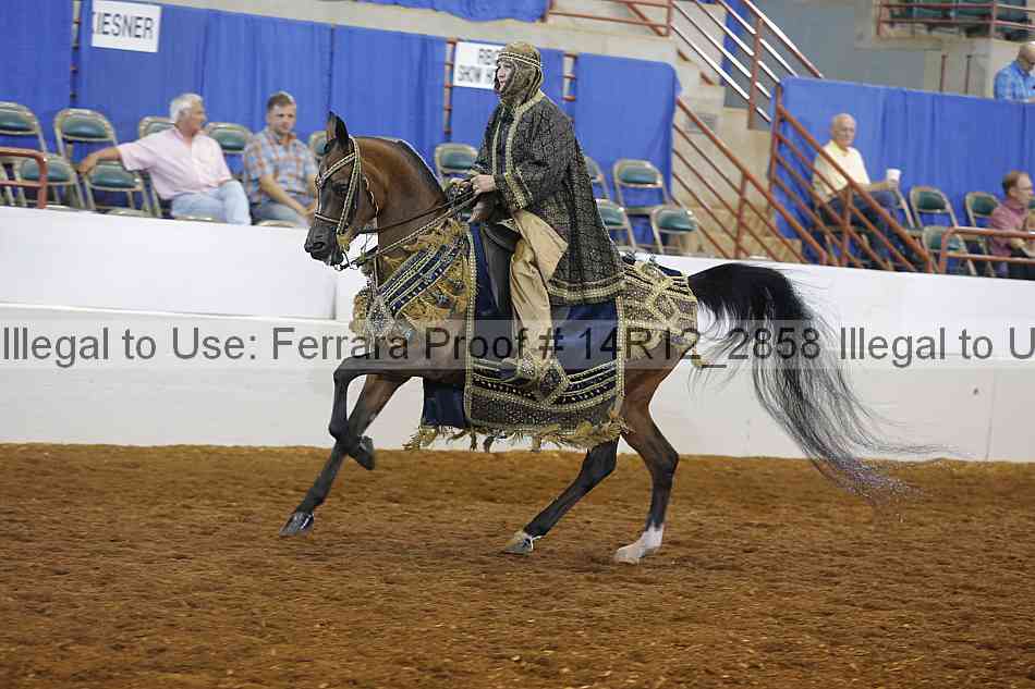 Proof 14r12_2858