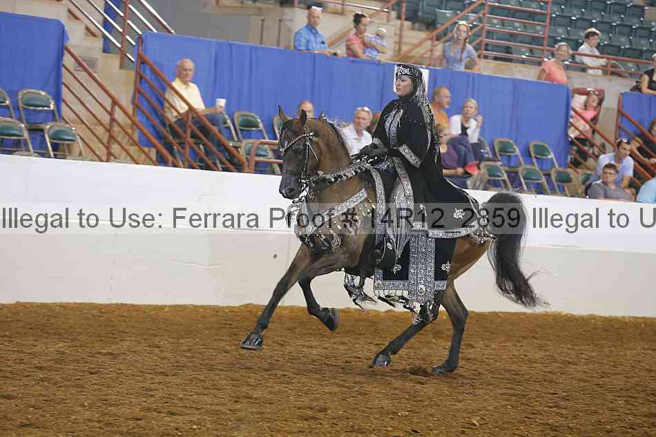 Proof 14r12_2859