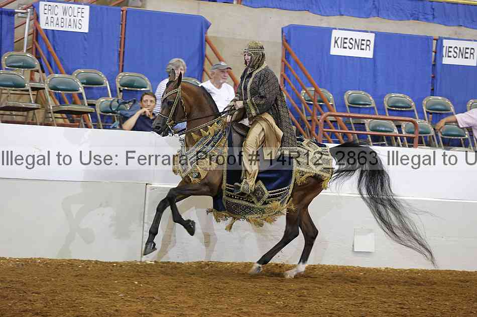 Proof 14r12_2863