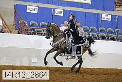 14r12_2864 proof