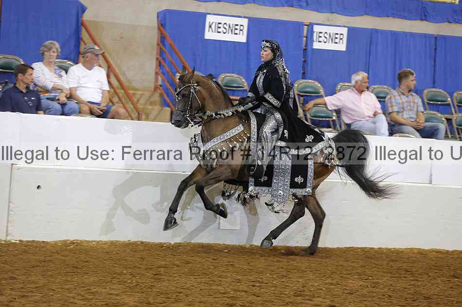 Proof 14r12_2872