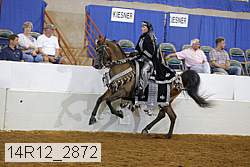 14r12_2872 proof