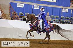14r12_2873 proof