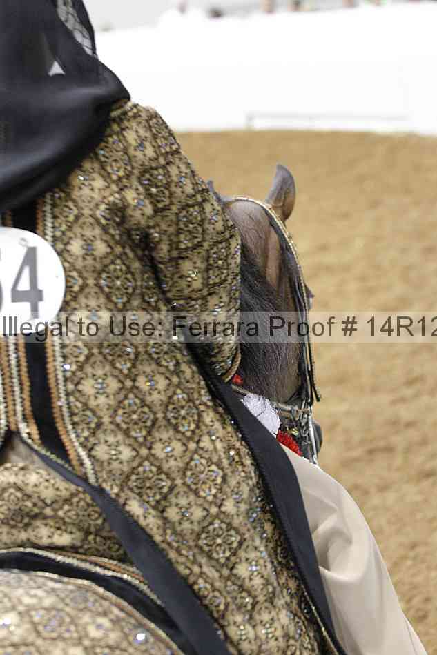 Proof 14r12_2880