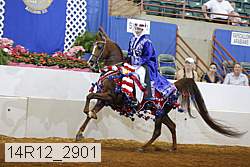 14r12_2901 proof