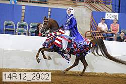 14r12_2902 proof