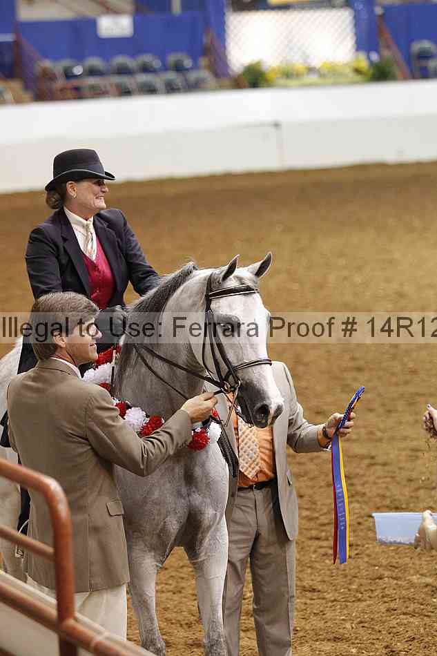 Proof 14r12_2906