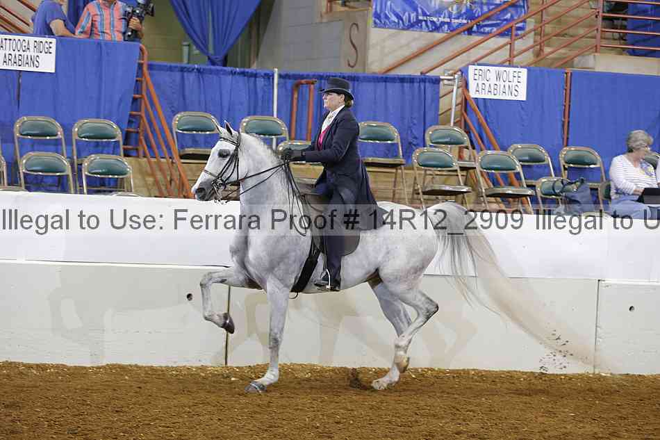 Proof 14r12_2909