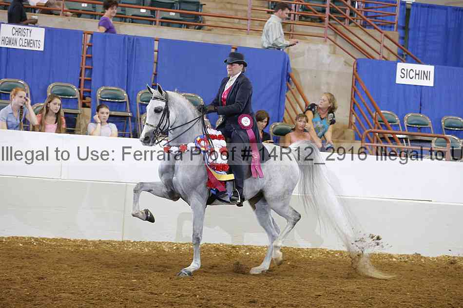 Proof 14r12_2916