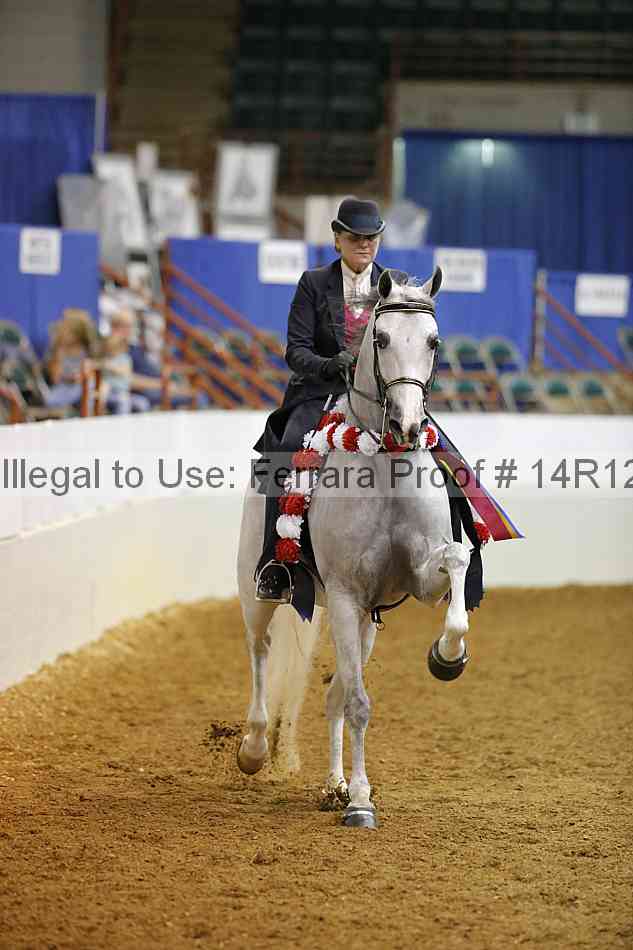 Proof 14r12_2919