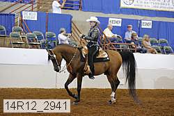 14r12_2941 proof
