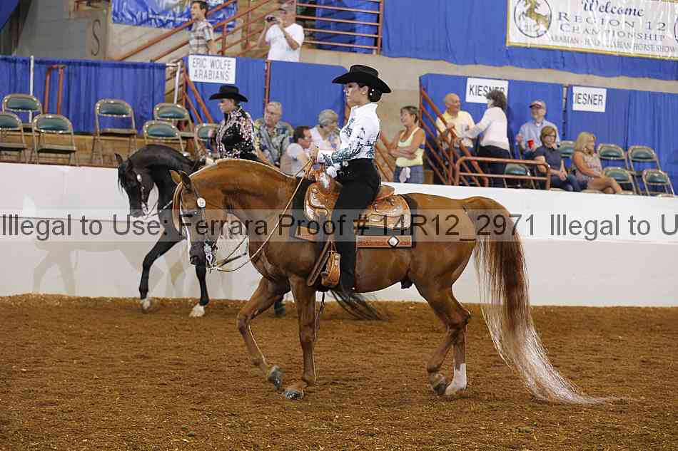 Proof 14r12_2971