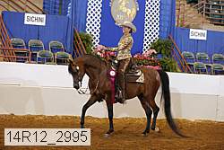 14r12_2995 proof