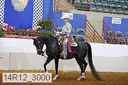 14r12_3000 proof